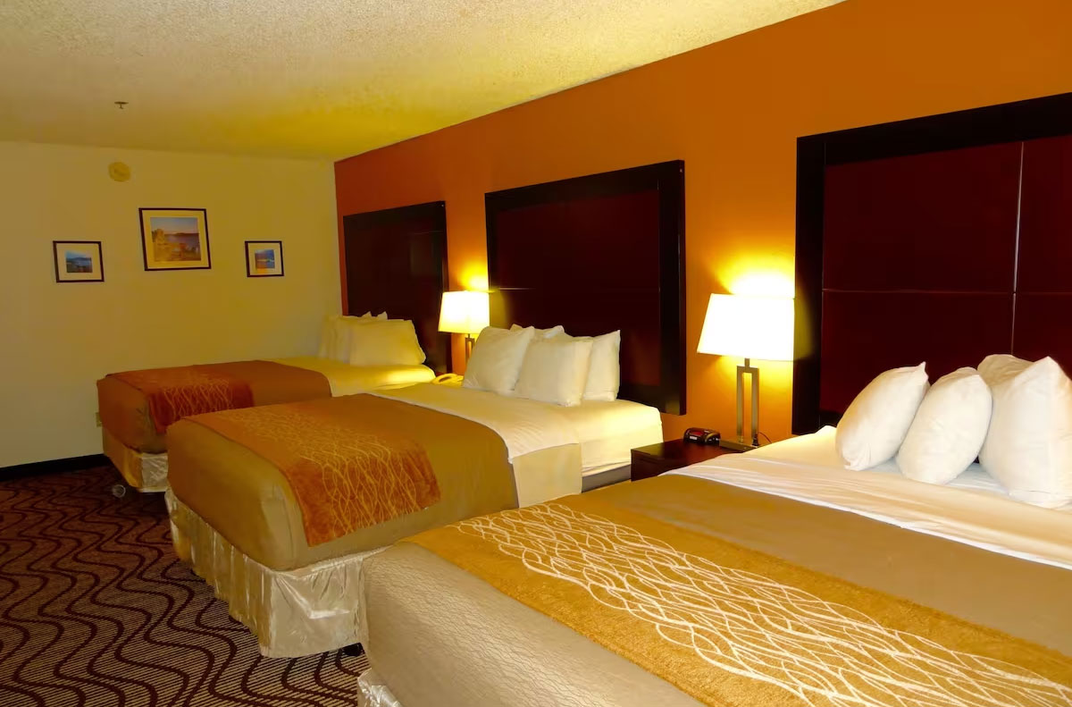 酒店客房設(shè)計細節(jié)的全面知識點解讀